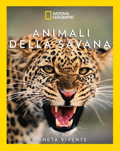 Animali della savana il - animali, savana.