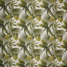 Tessuto Tappezzeria Cotone