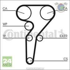 Kit cinghia distribuzione