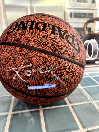 Nba spalding basketball - nba,