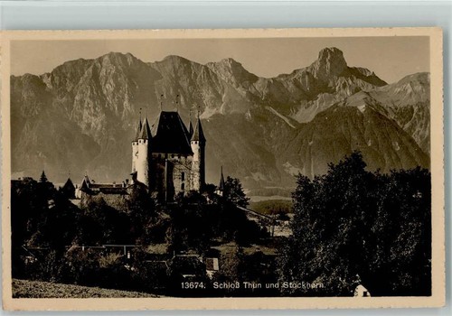 10197267 thun castello di - -,