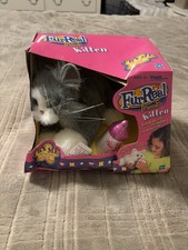 Rarissimo gattino grigio