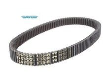 Xpx5024 11420369 dayco belt - 11420369,