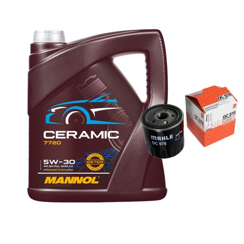 Pacchetto ispezione mahle - pacchetto,