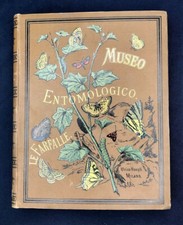 Sordelli LE FARFALLE Museo entomologico Ulrico Hoepli 1885 entomologia