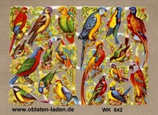 bellissimo foglio ww642 -