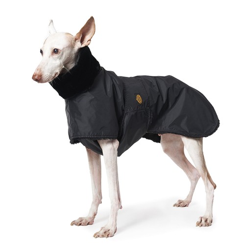 Fashion dog cappotto - fashion,