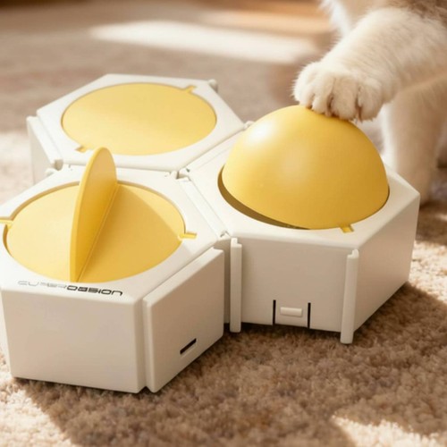 Gioco enigma gatto - gioco, nascondi