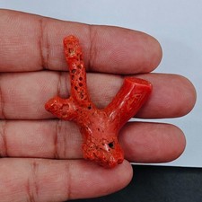 Ramo di corallo rosso italiano