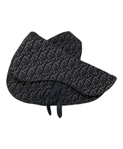 Christian dior saddle canvas - christian,