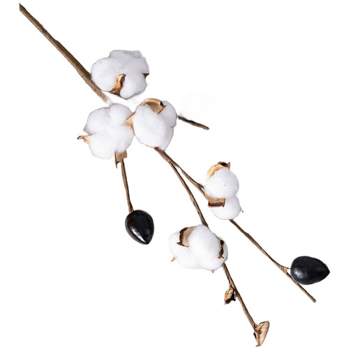 Steli fiori cotone - in,