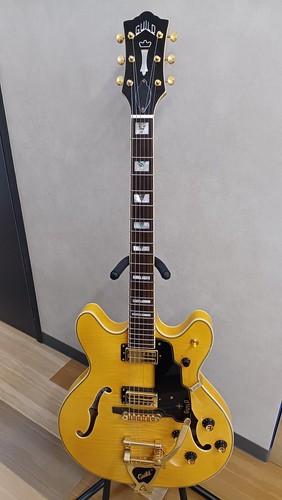 Chitarra elettrica semivuota