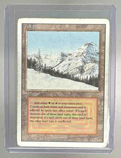 Taiga 1993 Magic: The