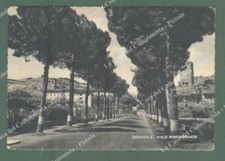 DOVADOLA, Forlì. Viale Rimembranze. Cartolina d'epoca viaggiata