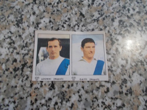Adorni gatti album - (napoli),
