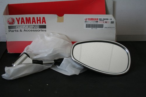 Specchietto destro originale