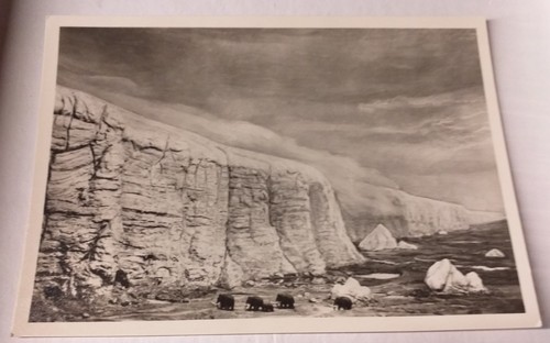 Cartolina mammut museo - cartolina,