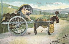 CP ITALIE ROMA CARRETTIERE A VINO - ATTELAGE CHEVAL TONNEAUX - 28549