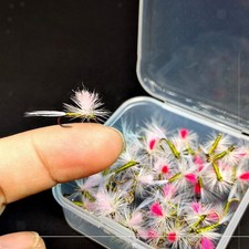 Pezzi mosche per - 10,