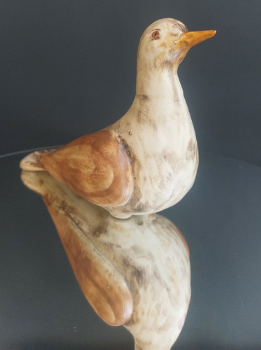 Giovanni petucco tollio nove - petucco,