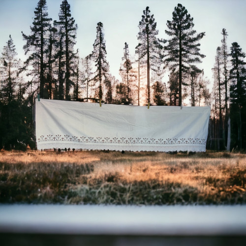 Tenda ricamata arredamento - tenda, ricamata,