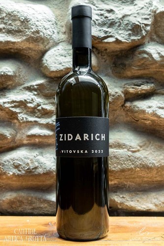 Malvasia istriana 2022 - malvasia,
