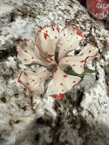 Fiore porcellana - fiore,