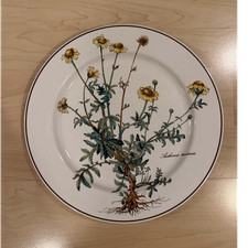 Piatto porcellana villeroy - piatto,