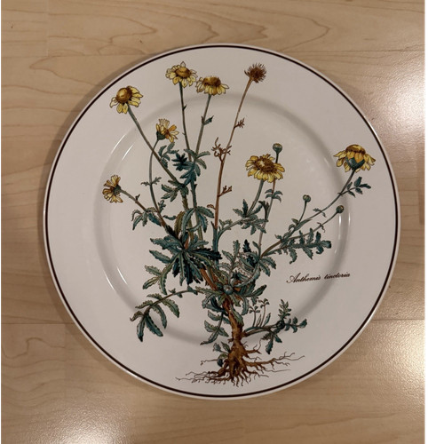 Piatto porcellana villeroy - piatto, &