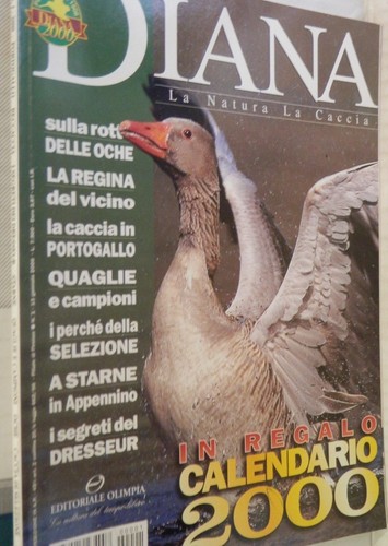 Diana 2000 beccaccia segreti - 2000,