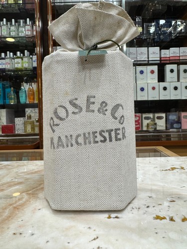 Rose manchester old english - rose,
