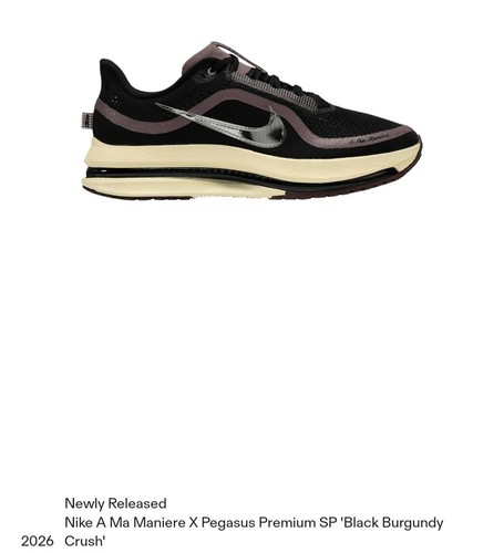 Maniére nike pegasus - maniÉre,