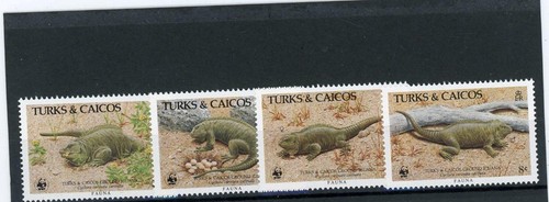 Turks caicos 1985 reptiles - &,