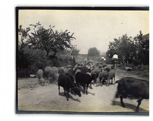 France near cogolin original - near,