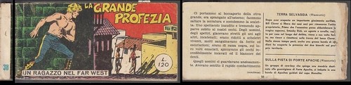 Striscia raccoltina zenit - raccoltina,