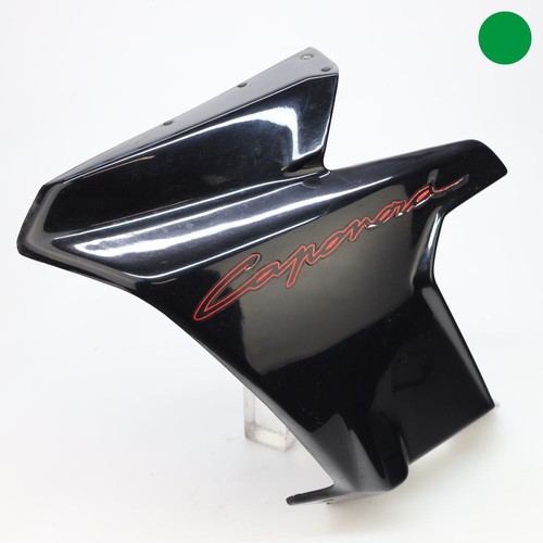 Aprilia caponord 1000 - caponord,
