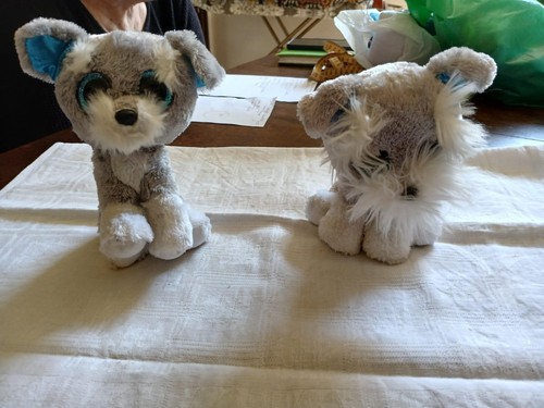 Peluche - peluche, ty