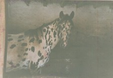 B5 - Foto Photo Fotografia