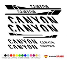10 Pegatinas Vinilo CANYON