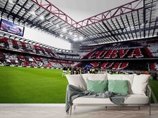 Carta da parati stadio 3D