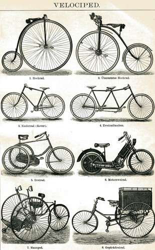 Velocipedo incisione legno - incisione,