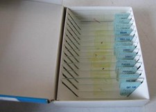 Prepared microscope - prepared,