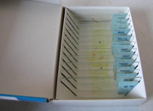 Prepared microscope - prepared,
