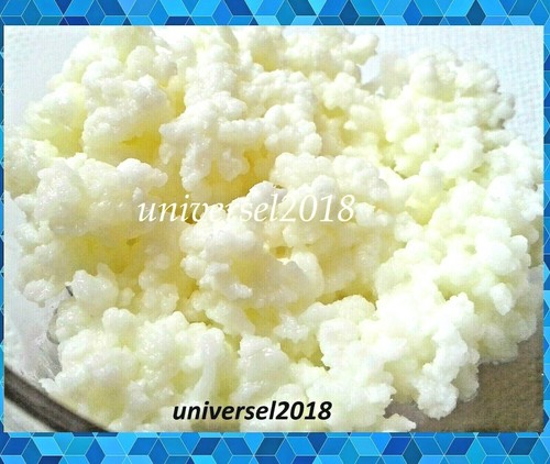 Kéfir lait 10g net de - lait,