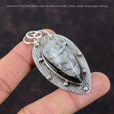 Ciondolo fossile Orthoceras