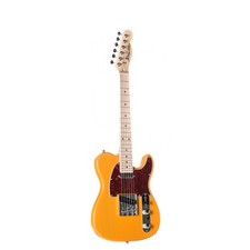 J&D TL-MINI chitarra elettrica