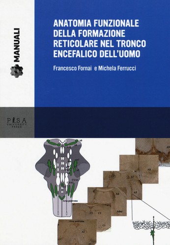 Anatomia funzionale della