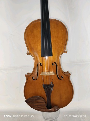 Violino italiano bucco antonio - violino,