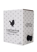 VINO PRIMITIVO IGP bag in Box 5 L rosso CAMPANIA 14 % Sfuso da Azienda Agricola