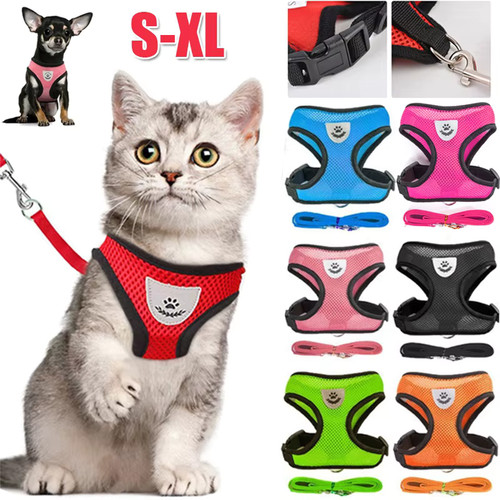 Pettorina per gatti cani - pettorina,
